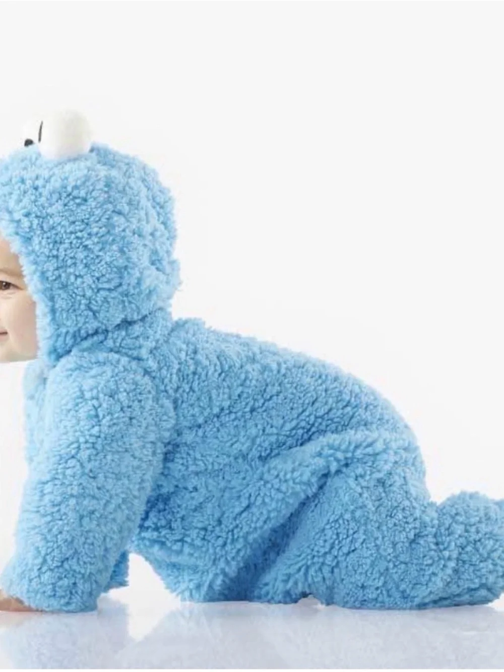 Pottery Barn Kids Blue Fuzzy Cookie Monster Costume - Picture 2 of 3